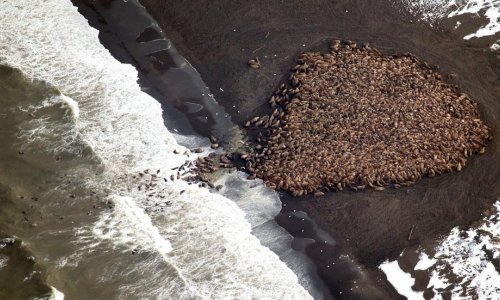 Effects of climate change.