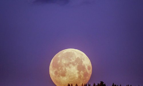 Super Moon Dates – Time Your Date and Your Date Will Never Forget the Date
