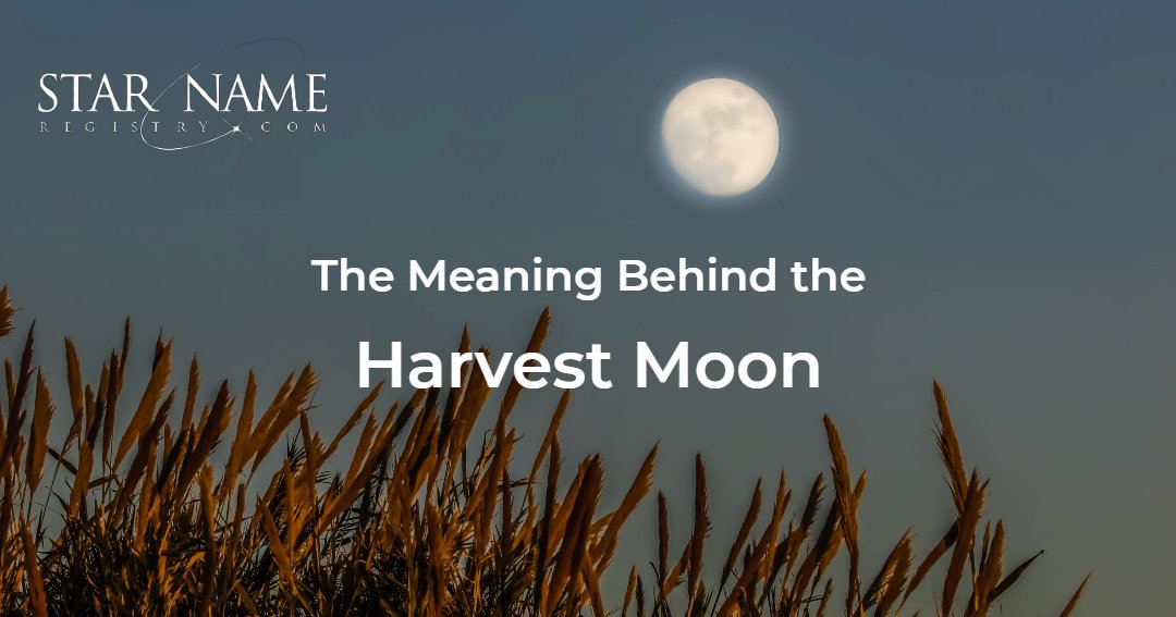 A full moon in a clear dusk sky over ears of wheat. Text in the middle of the image says