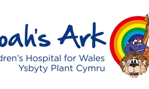 Shout Out - Noah's Ark Children's Hospital